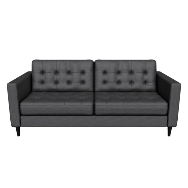 Anthena Polyester Sofa - Charcoal - Image 2