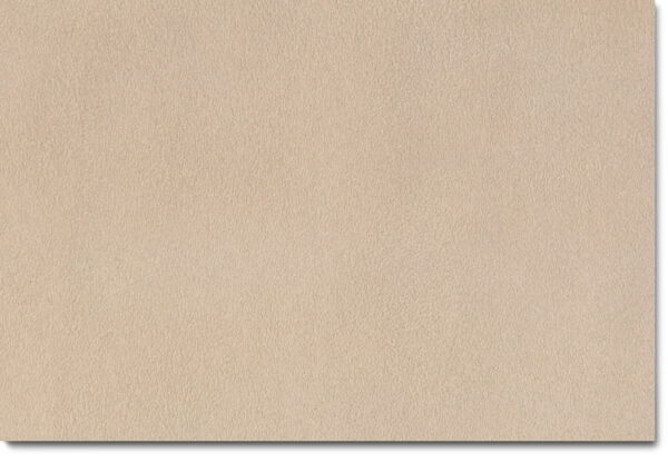 Collier Loveseat - Beige - Image 3